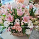 나래어린이집 이미지