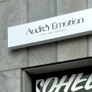 오드리이모션(AUDREY EMOTION) 네이버블로그