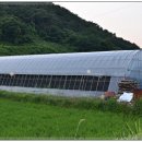 진달래목장 이미지