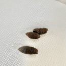 프라임 동물병원 앞 이미지