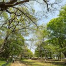 최고자원 이미지