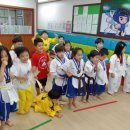 용인대 한신 태권도 이미지