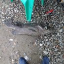 k3바다낚시터 이미지