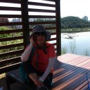 입화산참살이숲 이미지