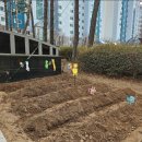 고촌어린이집 이미지