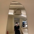 데일리로스트