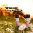 1052 | 사랑 명상 1052