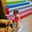 보더베어하우스 네이버블로그