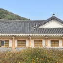 에덴테마어린이공원 화장실 앞 | 여행은 타이밍 오창 황화코스모스 미래지테마공원