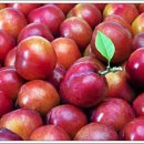 홍제으뜸경희한의원 이미지