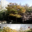 다대2동-10 이미지