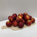 다온농원 | 🔖신선복숭아 맛집, ’다온농원‘