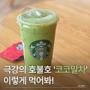 하나음료 | 스타벅스 겨울 시즌 음료 코코말차 극호 커스텀 후기