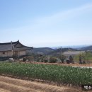 너른공인중개사사무소 이미지