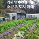 산촌부동산공인중개사사무소 이미지