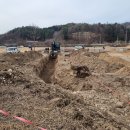 스테이펫 이미지