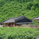 산서리 구산재 Daum카페