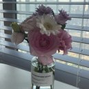 [일원1] 친환경 살림코칭, 우리집 정리수납 (6주: 1/15~2/26) | 임신) ~ 6주 3일(계류유산까지)