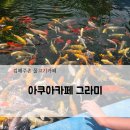 서부어린이집 | 김해주촌 그라미! 내돈내산 김해아기랑 물고기카페 후기