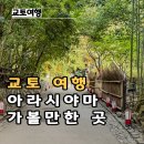 두가 | 교토 아라시야마 여행 코스 아라시야마역 치쿠린 등 가볼만한 곳 5