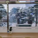 세븐일레븐 장흥안단테점 이미지