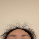 헤어그라스 | 닥터포헤어 에어로 쿨링 샴푸 후기, 여름 샴푸 추천으로 정착했어요