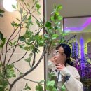 주연아파트 | 대전 봉명동 미용실 추천 “주연헤어”에서 톤다운 염색 성공 후기