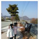 정서함양캠프 공주한옥마을 (11월 21일~23일) - 무령왕릉관람 이미지