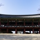 방장목장 이미지