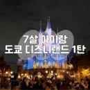주식회사메인스트리트 | 7살 아이랑 비 오는 날 도쿄 디즈니랜드 : 미녀와 야수 DPA 예약, 몬스터주식회사, 베이맥스