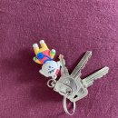 한국도미노피자(주) 이미지