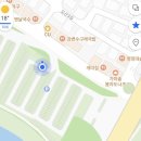 펫페스티벌 | 울산 펫페스티벌 후기 | 쿠키와 힐링 산책한 날