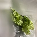 서귀동-34 | [서귀동해산물맛집 - 바다수산] 서귀포올레시장에서 회 드시고 싶을 때 방문한 후기