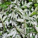 뿌리요양병원 이미지