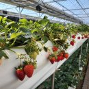 인솔농장 이미지