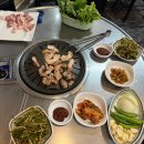 태백뒷고기