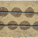 옥이농장 이미지