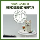 하쯔 베이커리 | 울산 강아지 케이크 클래스 펫케이크 전문가 자격증반 5주차 입체케이크