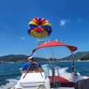 이동 원천항 이미지