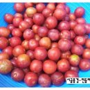 울안농장 이미지