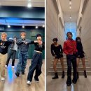 갤러리루즈 이미지