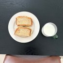 Spirit Untamed | [UAE새댁] 25년 8월 일상