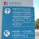 반석동물병원