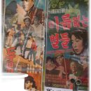 낙산냉면 Daum카페