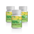 버베나 하우스 이미지