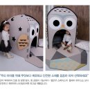 아람코퍼레이션주