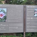 무궁화동산 화장실 이미지