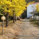 드림랜드(아) 이미지