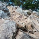 태영카랜드 이미지