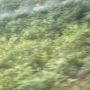 홍익스테이크 - 남동구 용천로 80 | 홍익스테이크